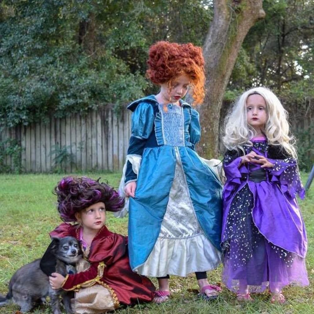 Meet your Posher, Abby